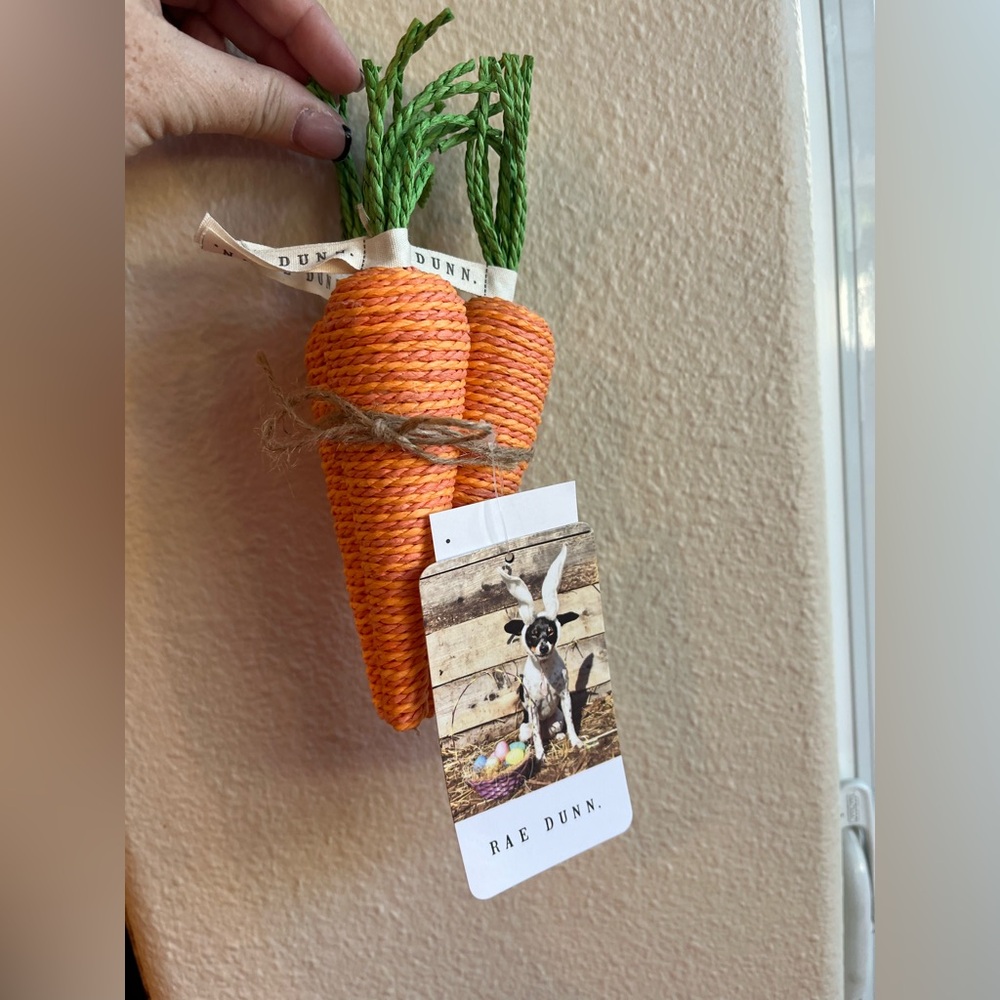 Rae Dunn Vibrant Orange Carrot Bundle